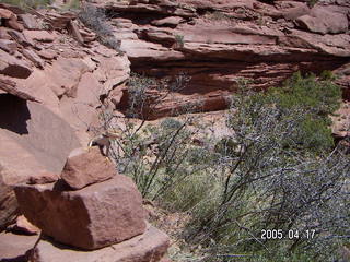 Canyonlands National Park -- Lathrop Trail