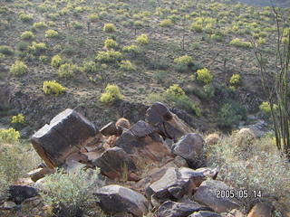 Lost Dog Wash trailhead