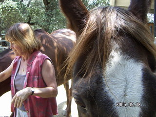 Linda Lee and horse