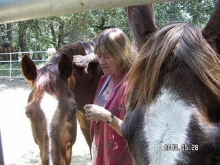 Linda Lee and horses