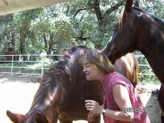 Linda Lee and horses