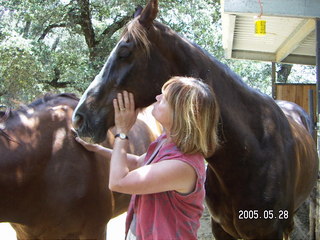 Linda Lee and horses