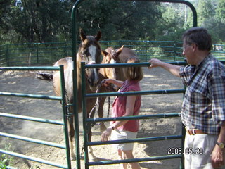 7 5fu. horses with Linda and Loren Lee