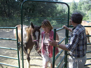 8 5fu. horse with Linda and Loren Lee