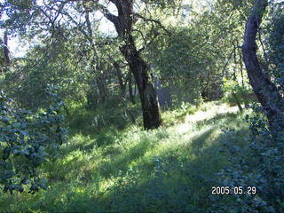 morning run in Julian, California