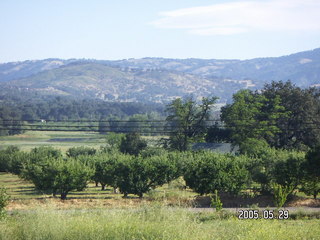 morning run in Julian, California