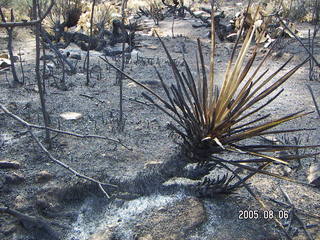 Bagdad, Arizona, run -- fire damage