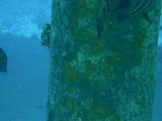 Tim and Dana Higel in Bora Bora