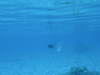 Tim and Dana Higel in Bora Bora