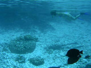 Tim and Dana Higel in Bora Bora