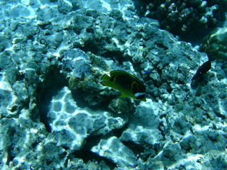 Tim and Dana Higel in Bora Bora