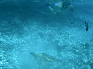 Tim and Dana Higel in Bora Bora