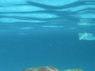 Tim and Dana Higel in Bora Bora