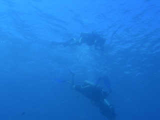 Tim and Dana Higel in Bora Bora