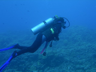 Tim and Dana Higel in Bora Bora