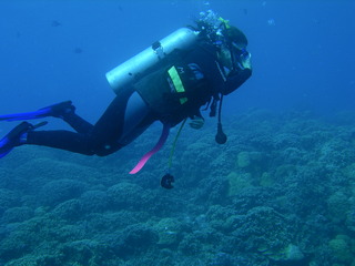 Tim and Dana Higel in Bora Bora