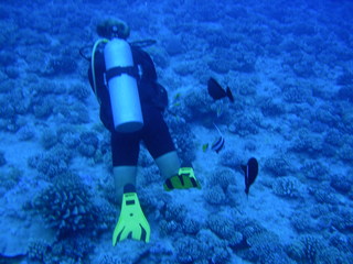 Tim and Dana Higel in Bora Bora