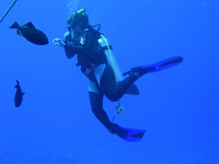 Tim and Dana Higel in Bora Bora