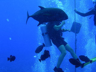 Tim and Dana Higel in Bora Bora