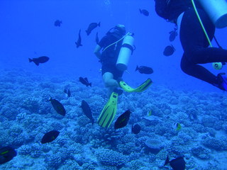 Tim and Dana Higel in Bora Bora