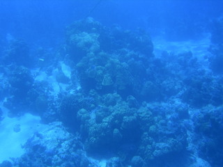 Tim and Dana Higel in Bora Bora