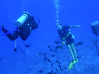 Tim and Dana Higel in Bora Bora