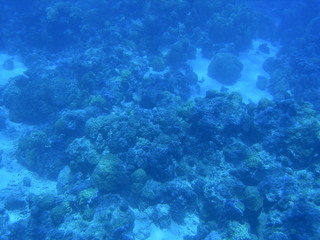 Tim and Dana Higel in Bora Bora