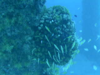 Tim and Dana Higel in Bora Bora