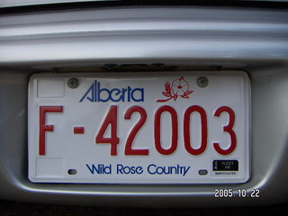 369 5ln. Alberta license plate for my rental car 1