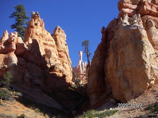 115 5ln. Bryce Canyon -- Queen's Garden Trail