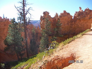 97 5ln. Bryce Canyon -- Queen's Garden Trail