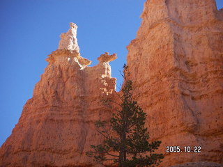 105 5ln. Bryce Canyon -- Queen's Garden Trail -- Queen Victoria rock formation