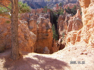 148 5ln. Bryce Canyon -- Peek-a-boo Loop