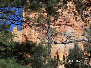 Bryce Canyon -- Queen's Garden Trail -- Queen Victoria rock formation
