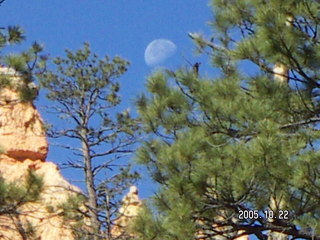 125 5ln. Bryce Canyon -- to Peek-a-boo Loop with the moon