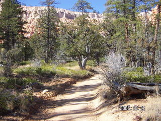 128 5ln. Bryce Canyon -- to Peek-a-boo Loop