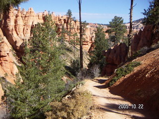 Bryce Canyon -- to Peek-a-boo Loop with the moon