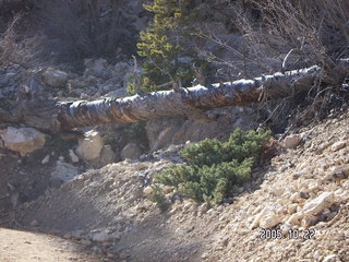180 5ln. Bryce Canyon -- Peek-a-boo Loop
