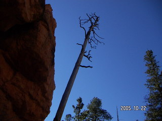 153 5ln. Bryce Canyon -- Peek-a-boo Loop