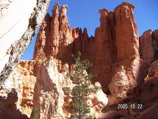 155 5ln. Bryce Canyon -- Peek-a-boo Loop