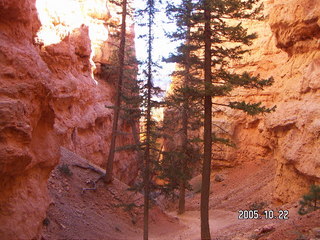257 5ln. Bryce Canyon -- Navajo Loop