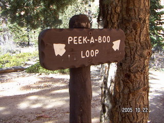 228 5ln. Bryce Canyon -- Peek-a-boo Loop sign