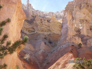 233 5ln. Bryce Canyon -- Peek-a-boo Loop