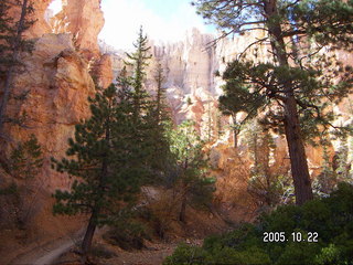 237 5ln. Bryce Canyon -- Peek-a-boo Loop