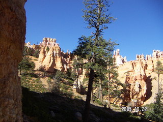 Bryce Canyon -- Queen's Garden trail