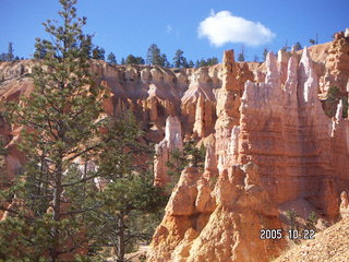 291 5ln. Bryce Canyon -- Queen's Garden trail