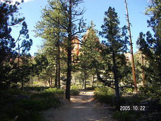 282 5ln. Bryce Canyon -- Queen's Garden trail