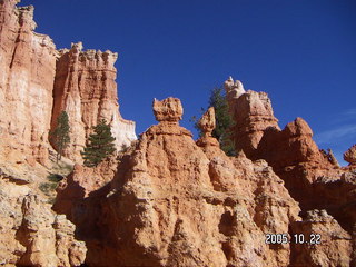 296 5ln. Bryce Canyon -- Queen's Garden trail