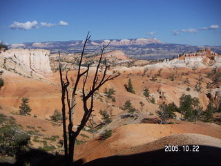 303 5ln. Bryce Canyon -- Queen's Garden trail