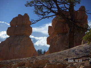 312 5ln. Bryce Canyon -- Queen's Garden trail